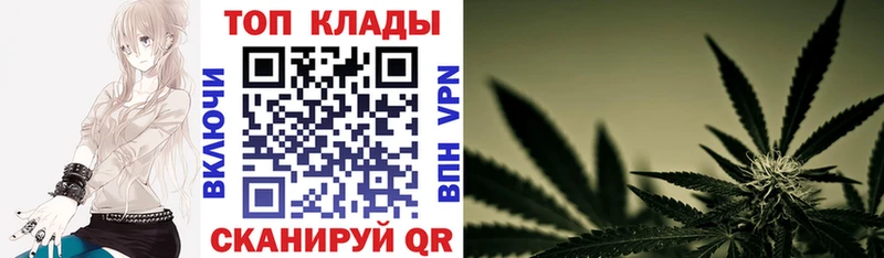 Где купить Кашин ЭКСТАЗИ ГАШ Alpha-PVP