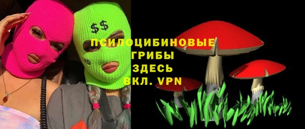 spice Алексеевка
