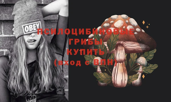 эйфоретик Железногорск-Илимский