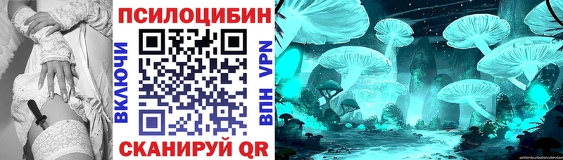 Галлюциногенные грибы Cubensis  где продают наркотики  Кашин 