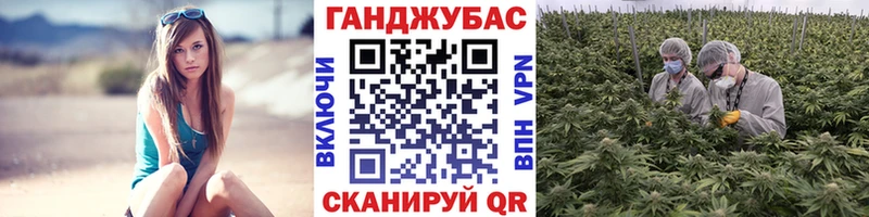 Шишки марихуана сатива Кашин